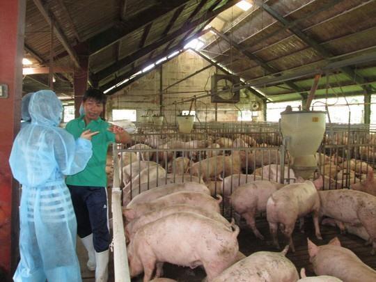 Teamwork needed in animal husbandry