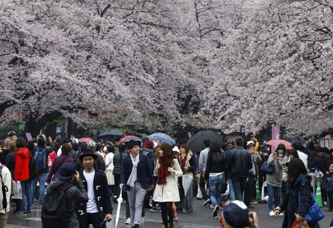 Japan Airlines, Vietjet to commence codeshare flights