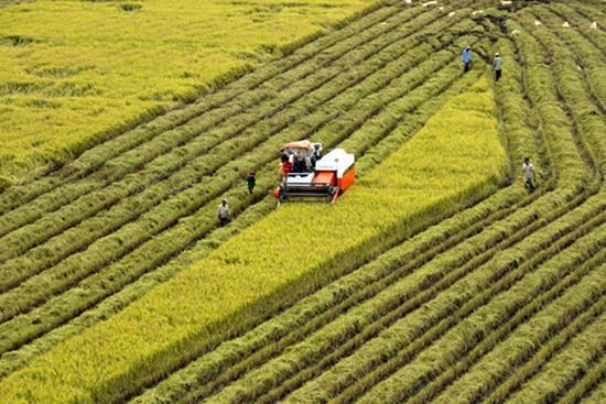 Hau Giang, RoK link up on farm tech