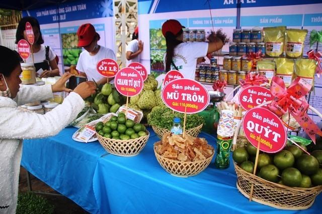 Gia Lai solicits investment in City