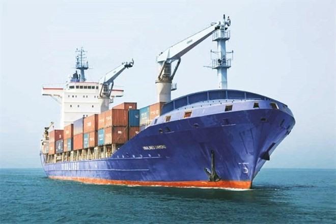 Struggling Vinalines to open container shipping centre next week