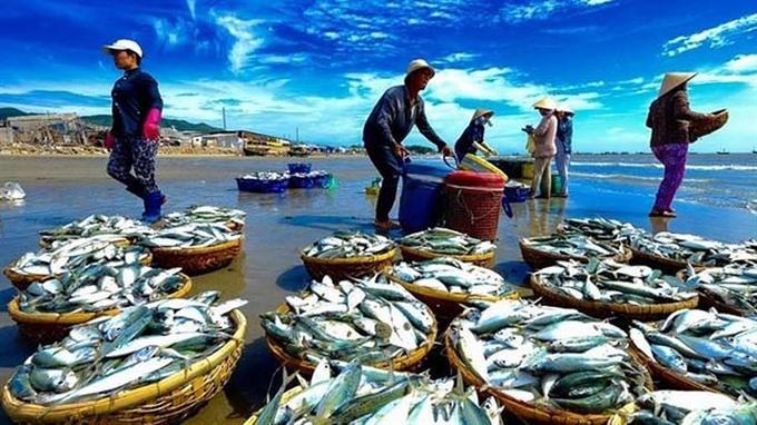 European Commission to help VN fight IUU fishing