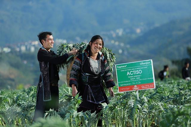 Experts discuss ways to promote herbal medicine