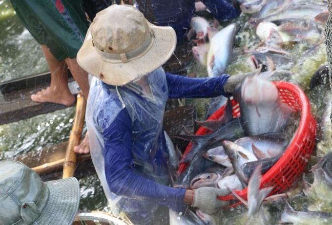 Viet Nam targets 40b farm exports