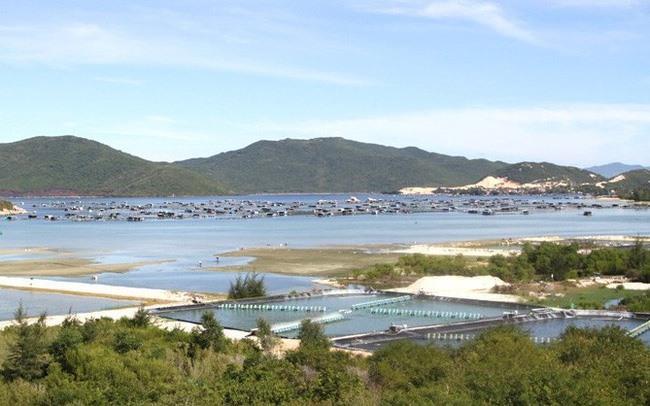 Khanh Hoa suspends land transfer in economic zone