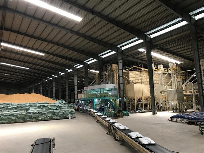 Tan Long Group wins S Korea rice contract