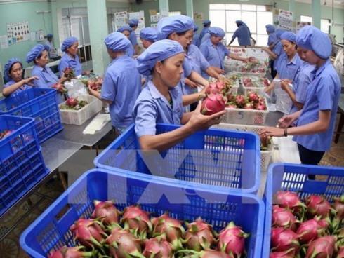 Produce exports to top 4b this year
