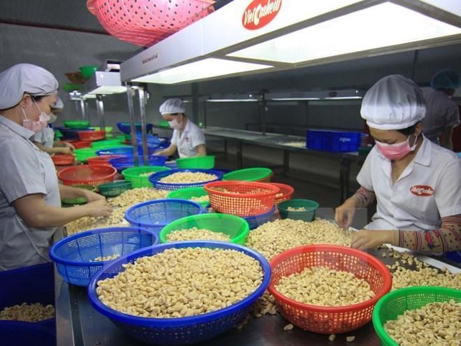 US-China trade war to hurt or benefit VN agriculture?