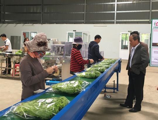 HCM City push to semi-process produce