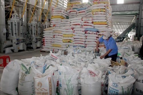 Viet Nams rice exports to Malaysia show strong growth