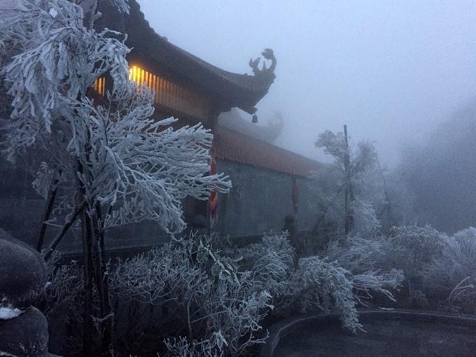 Viet Nams online tourism to thrive