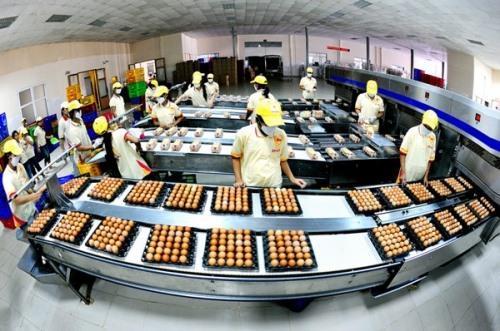 VinaCapital decides to stop investing in safe egg manufacturer Ba Huan