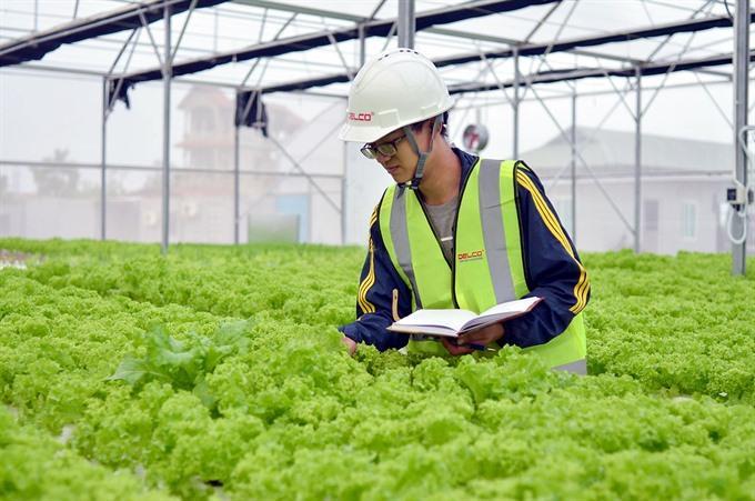 Startups should be more entrepreneurial: executives