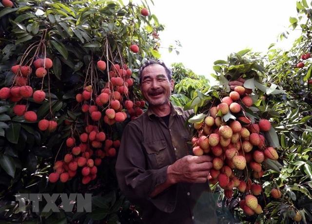 Agriculture sector expands by 2.02% in nine months