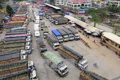 Agriculture exporters must change approach for better access to Chinese market