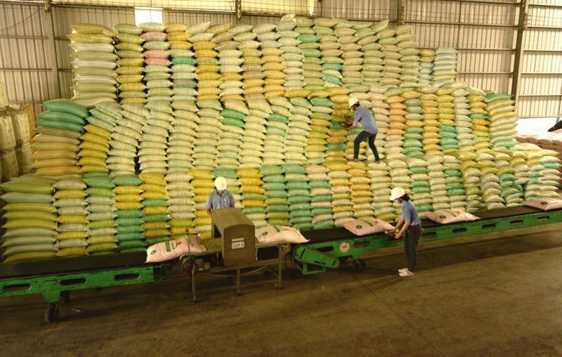 VN rice industry needs to establish value chains