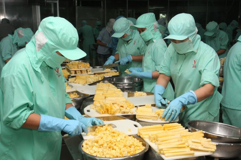 Processing and manufacturing firms expect to perform better in Q2