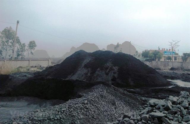 Team established to supervise charcoal exploitation