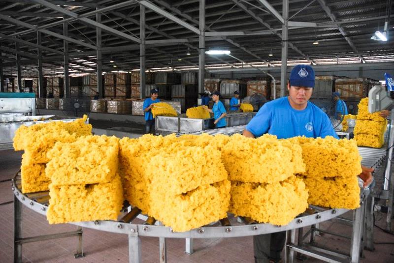 Rubber exports plummet