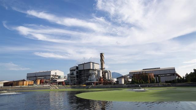 German Government development fund invests 28 million in VN sugar company