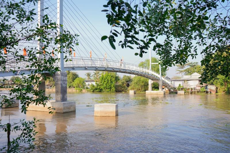 New Mekong Delta bridge improves transportation, facilitates commerce