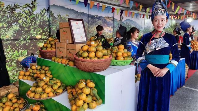 Week of Muong Khuong mandarins opens in Ha Noi