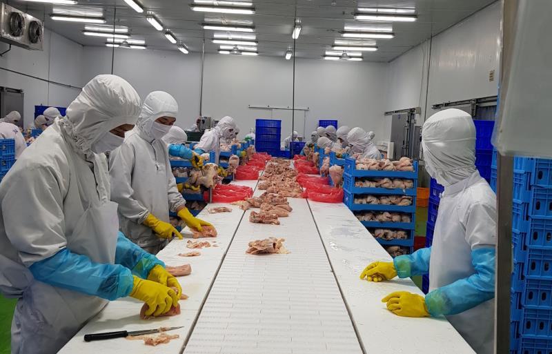 Vietnamese chicken to be shipped to Singapore, Hong Kong
