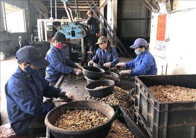 Finance ministry to provide legal support to SMEs