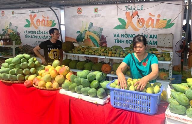 Son La exports mangoes to China