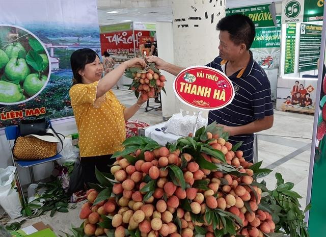 Thanh Ha lychee fair opens in Ha Noi