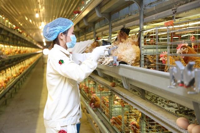 VinaCapital no longer a major shareholder of Dabaco