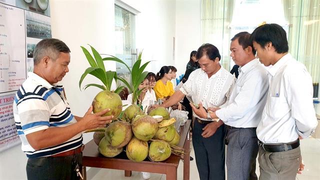Tra Vinh District gets brand certifications for specialty agricultural products