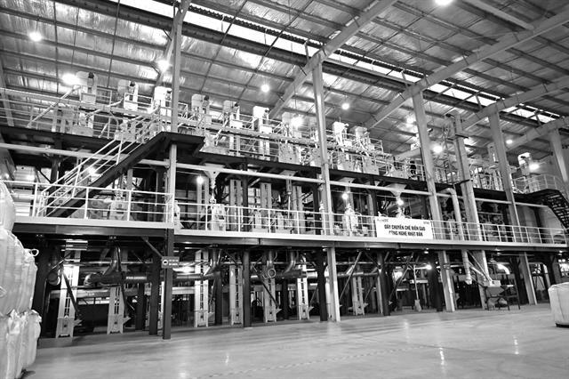 VinaSeeds rice products conquer international market