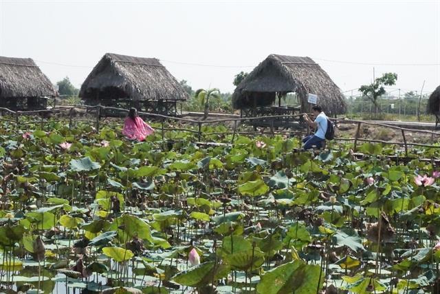 HCM City works on plans to revive tourism