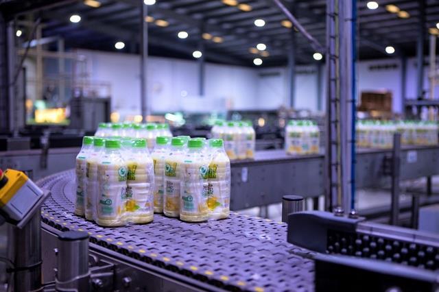 Vibev enters market with maiden products