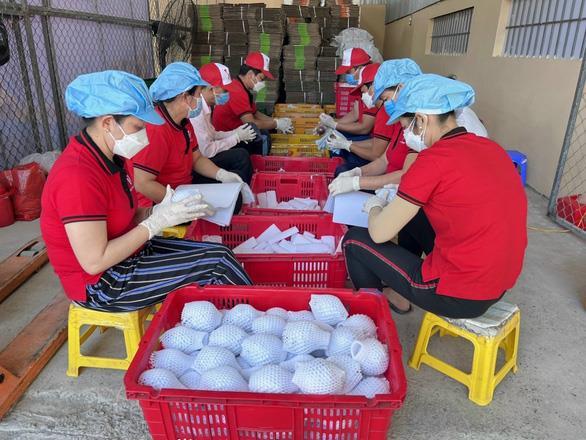 Soc Trang Province increases exports of milk star apple to US to 10 tonnes