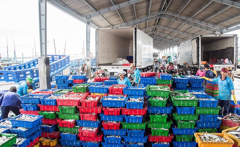 Soc Trang calls for investment in deep-water seaport