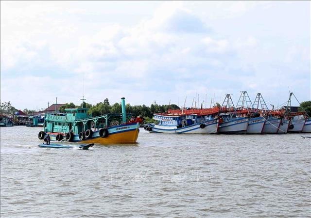 Ca Mau joins national efforts in IUU fishing combat
