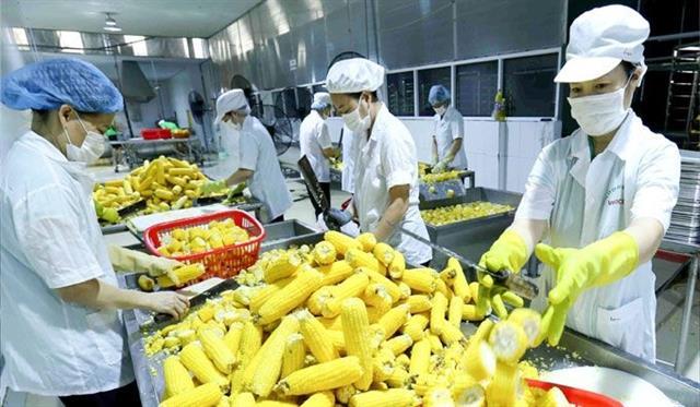 RCEP offers opportunity to expand Vietnamese agricultural exports