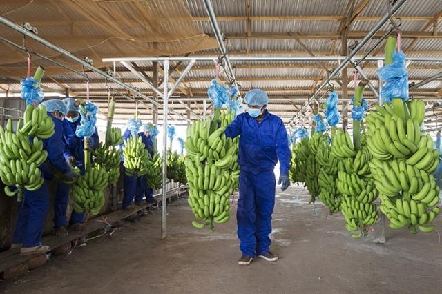 HAG shares will be under supervision at the end of April