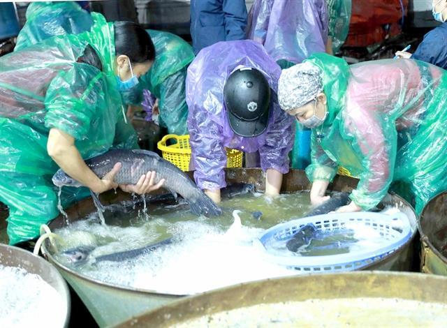 CPI inches up 0.16 per cent in May