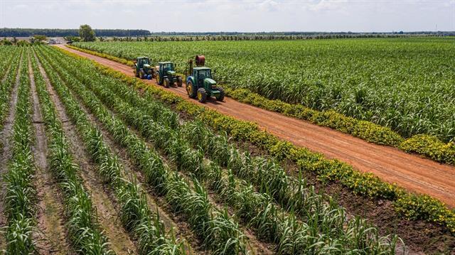 Enterprises strictly manage cash flow and make use of all financial resources