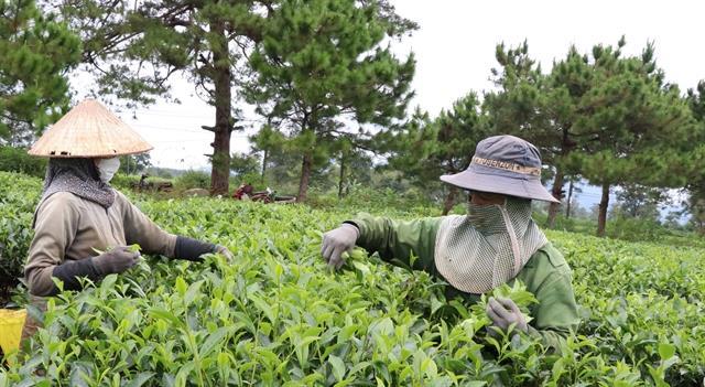 Viet Nam looking to expand exports to Eurasian market