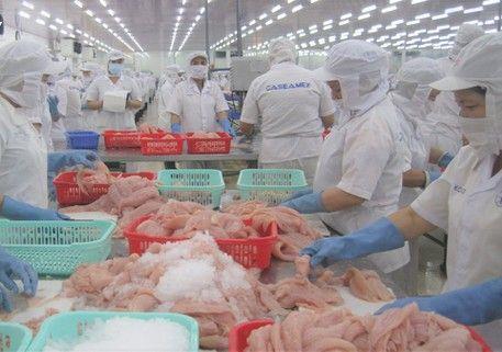 Viet Nam expects US1.7 billion in tra fish exports in 2022
