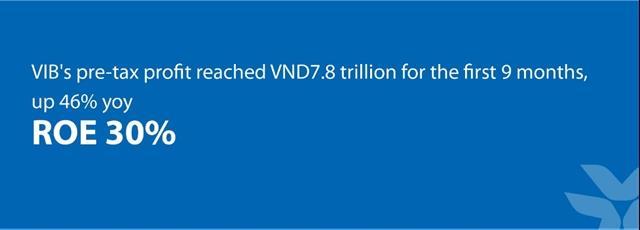 VIBs pre-tax profit up 46% in nine months