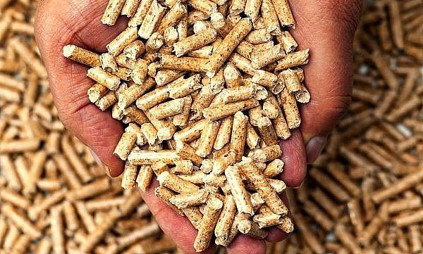 Viet Nams wood pellet exports can fetch US1 billion in 2023: specialist