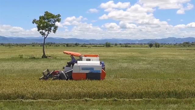 Huge potential remains in exploiting agricultural by-products