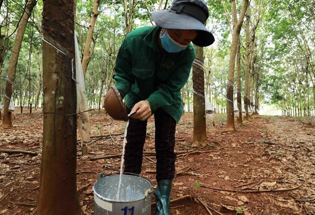 Rubber companies business results gloomy in Q3