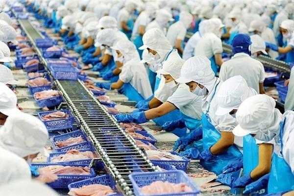 Pangasius exports exceed expectations