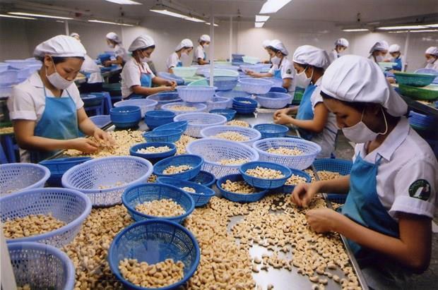 Cashew exporters have 3.8b target for this year